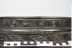 Foto von Bronzerippenciste (NHMW-PRAE-024511)